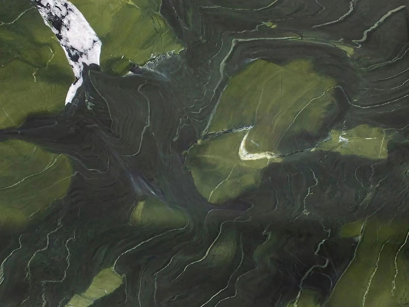 avocados extra naturstein