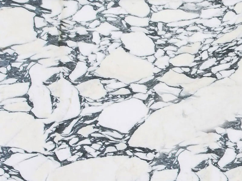 calacatta corchia extra stein