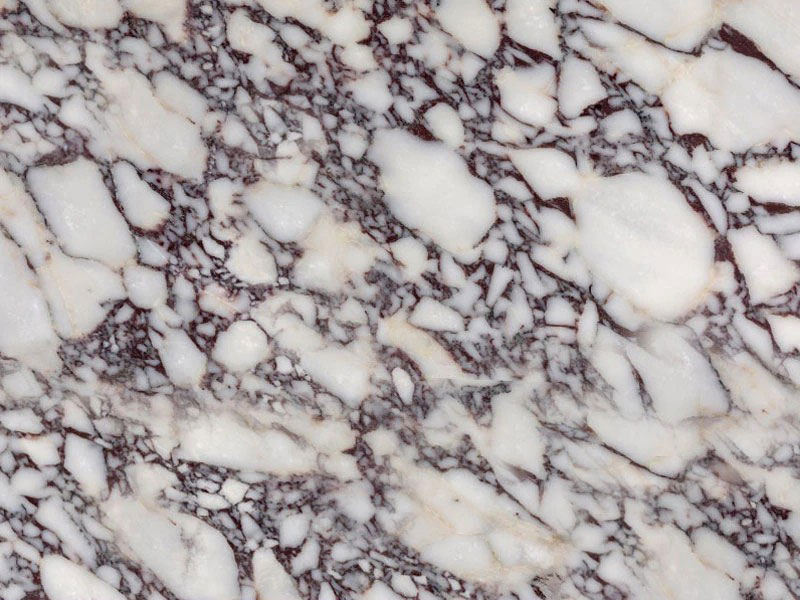 calacatta viola extra naturstein