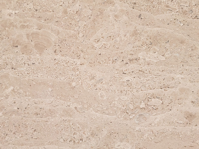 Naturstein Breccia Sarda (Kalkstein)