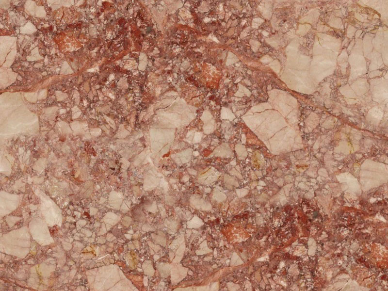 Naturstein Breccia Pernice (Kalkstein)