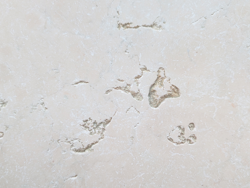 Nahaufnahme einer getrommelten Naturstein-Oberfläche mit sichtbaren Poren und matter Textur.